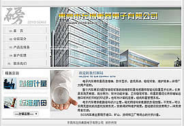 网站建设成功案例:东莞左扬衡器电子有限公司
