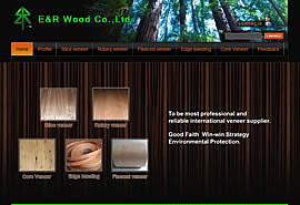 网站建设成功案例:林源木业有限公司