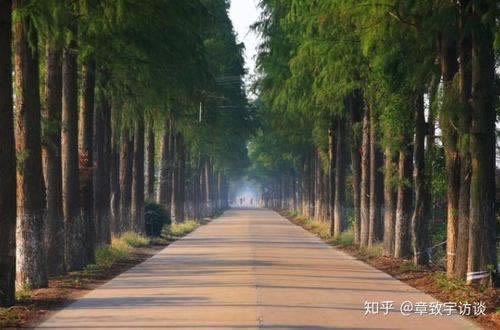 碰到银行系统维护提不了的解决办法（图）