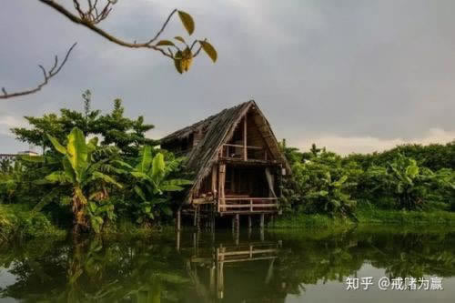 提款一直说维护什么意思如何处理(图)