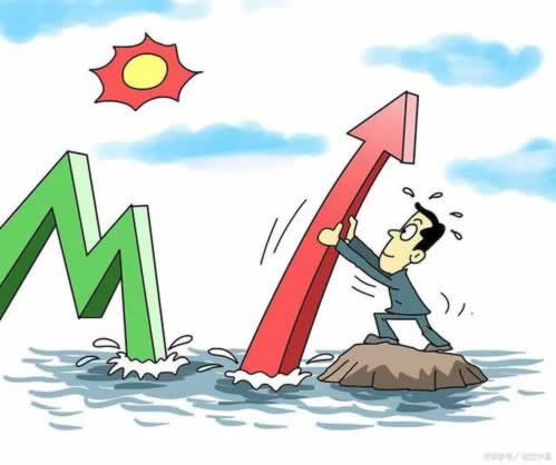 黑网个人信息处理方案（图）