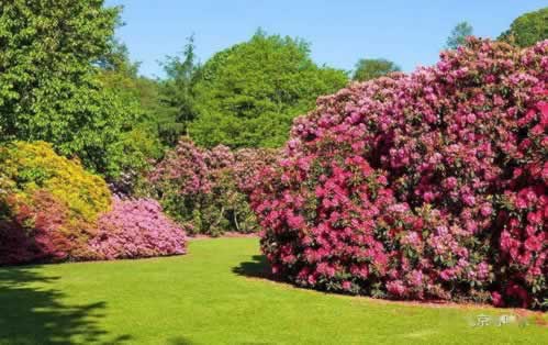 网上被黑提现失败了破解方案（图）