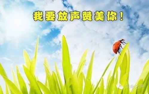 在网站系统维护检测风控部门审核拒绝出款处理方案（图）