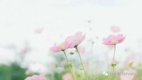 取款通道维护提不了破解对策（图）