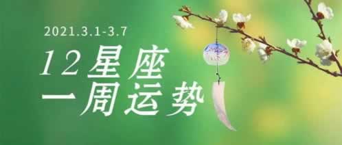 在线客服回复国际线维护暂停支付化解策略（图）