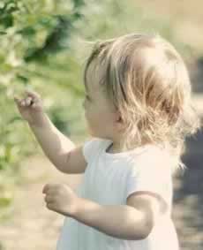 网站暂停结算业务账号被风控打码量不足不给出款不能提现处理办法（图）