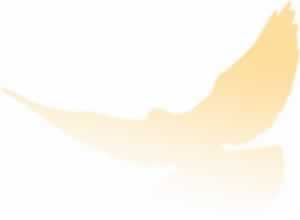 黑网第三方出款通道维护部门审核中不给提款化解思路（图）