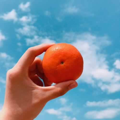 遇到财务部门正在维护审核化解对策（图）
