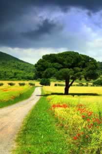 出款通道端口异常数据异常延迟更新不给提现拒绝出款取消退回处理办法(图)