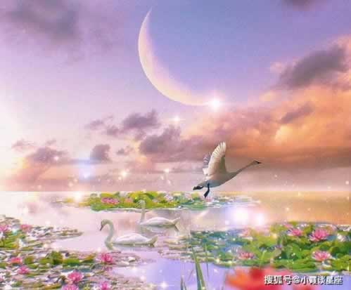 网上平台出款通道维护提款不了被拒绝出款咋办（图）