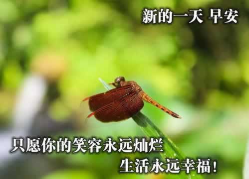 网上提示我流水不足不给提啥解决方法(图)