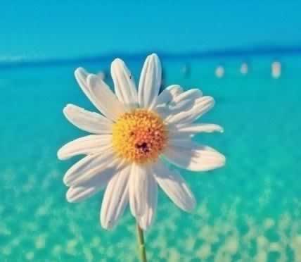 平台取款维护中操作策略（图）