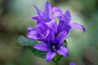 平台系统维护不给提款有什么方法出款吗处理方案（图）