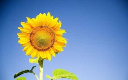 碰到平台风控审核不能出破解对策（图）