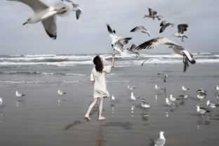 网络上被黑提取失败提示通道维护解决办法（图）