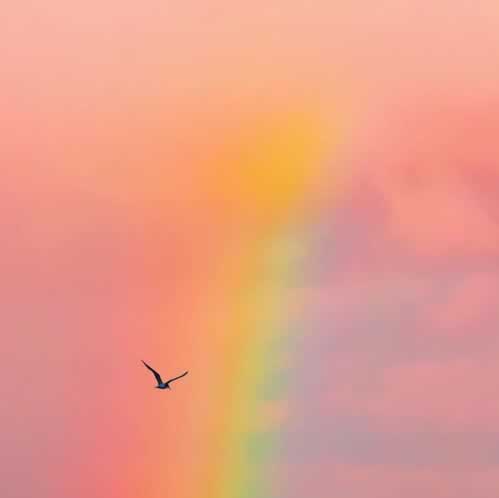 在网上碰到提现不了补救策略（图）