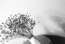 平台未通过打码审核不给出款什么意思啊补救策略（图）