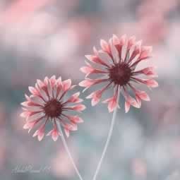 揭秘抽查审核不能出款的原因教你怎么面对（图）