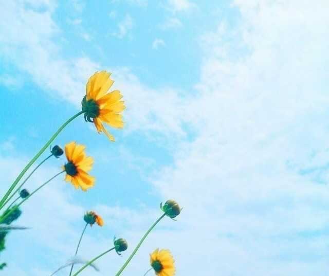 专业工作室解决流水不够不给提现应对方法（图）