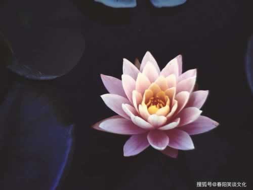 在网上的平台账户显示流水不足提不了款教你怎么操作(图)