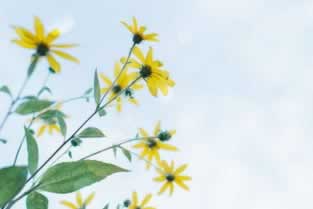 网上异常审核怎么出黑补救措施(图)