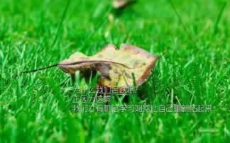 什么是打码量大家怎么操作（图）