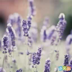 网络上账户异常不给提款解决策略(图)