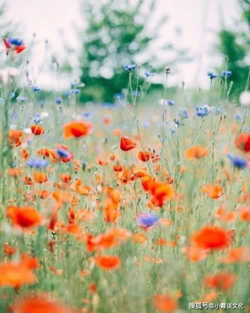 玩的平台账户涉嫌不能提款怎样面对(图)