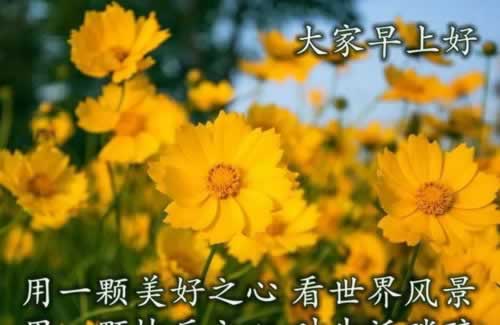 在网络系统自动抽查审核该处理策略(图)