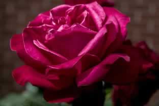 网上被黑提现被退回平台提款不到账破解方式（图）