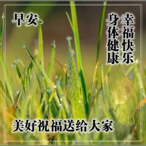 黑平台通道维护中一直提款不出该如何办（图）
