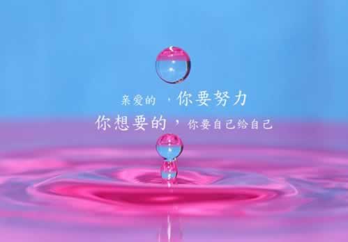 不给提款客服说维护破解方式（图）