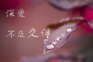 在王头银行系统维护等不给出款该破解办法（图）