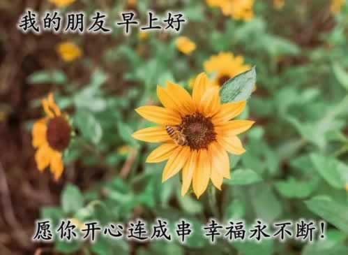 黑平台客服说出款通道维护不给提现快速解决(图)