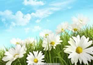 网上平台营前出端口维护处理方法(图)