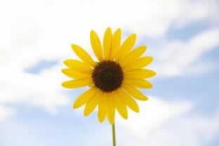 遇到安全部门正在审核中被黑提现失败破解思路（图）