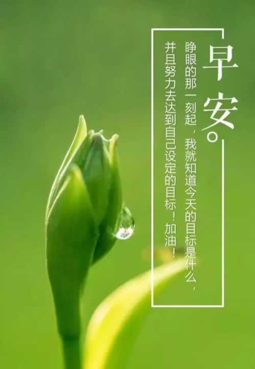 在黑网站被黑钱入会快速挽回操作方法（图）