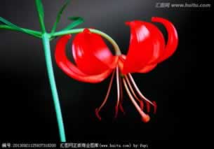 黑平台财务部门清算出款失败操作思路（图）