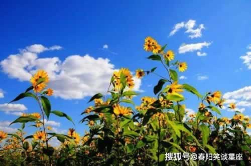 网络被黑赢钱不给提款怎么办什么破解方法(图)