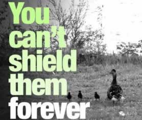 在网络系统自动抽查审核解决办法破解对策(图)