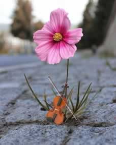 网络平台维护不能提款补救措施(图)