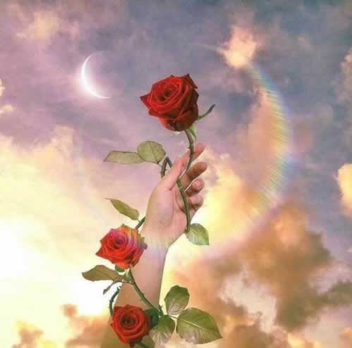 在网上的平台出款失败被退回啥解决方案（图）