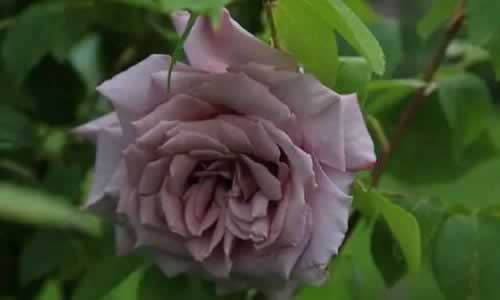 支付渠道维护不给提现怎么办操作办法（图）