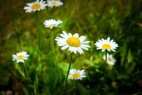 在网上平台显示出端口维护怎么解决破解对策(图)