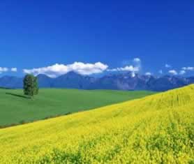 网上出黑卡分网站抽查审核这家出黑团队为何这样的(图)