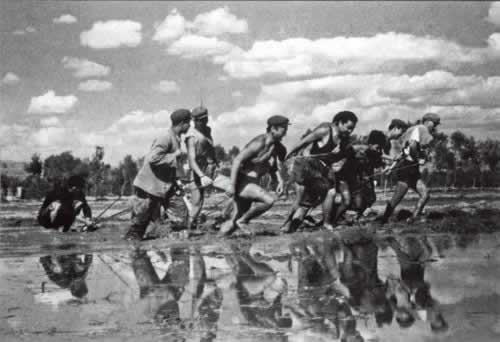 网上被黑被黑1到7天怎样整(图)