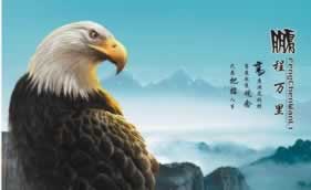网上不能取款数据延迟是什么原因造成的处理方式（图）