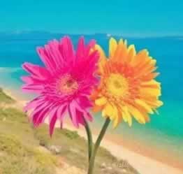 在网上第三通道维护解决办法补救策略(图)