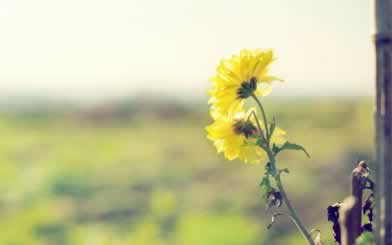 平台被黑专门帮人出款为什么真的行吗碰到了怎么弄（图）