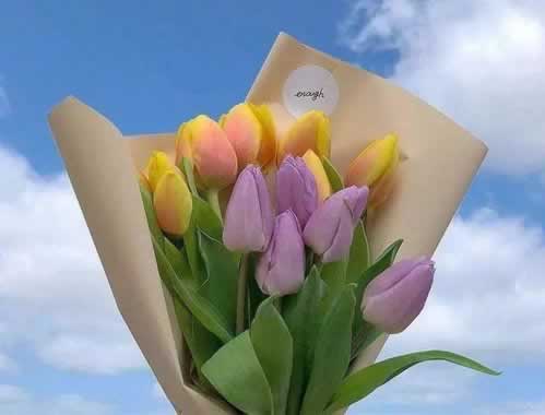 一直在审核中是什么原因呢应对方法（图）